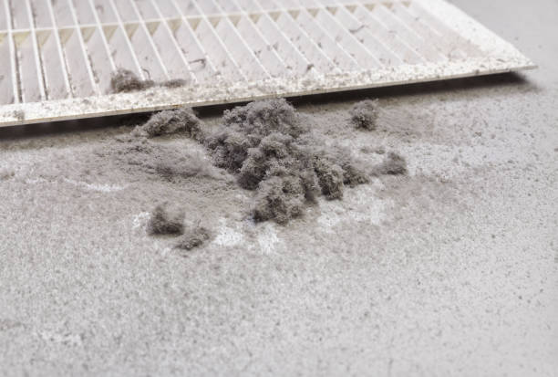 Best Ductwork Cleaning Services  in Slater, IA